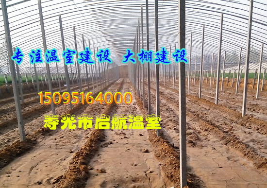 供應(yīng)日光溫室     冬暖式棉被拱棚    壽光市啟航溫室