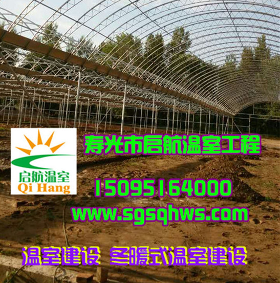 供應(yīng)蔬菜大棚   簡易連棟拱棚   壽光市啟航溫室