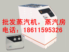 桑拿蒸汽機(jī)