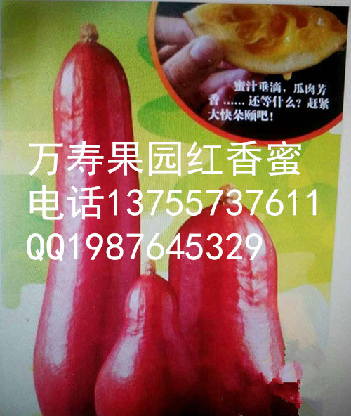 供應(yīng)用于種植的香如蜜
