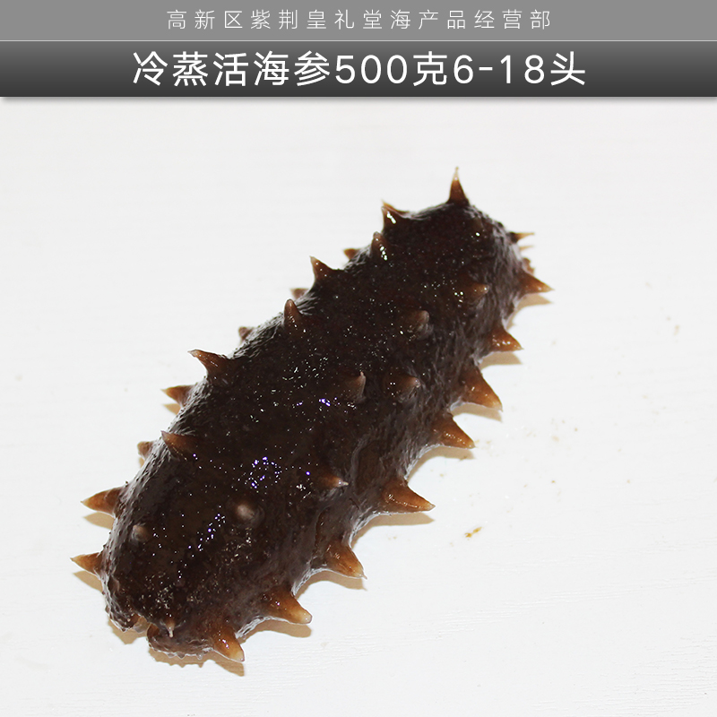 冷蒸活海參500克6-18頭 大連冷蒸活海參 冷蒸即食海參 水產制品