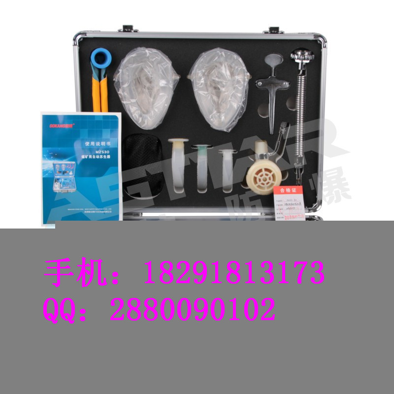 供應(yīng)斯達(dá)防爆牌煤礦用MZS30型煤礦用自動(dòng)蘇生器