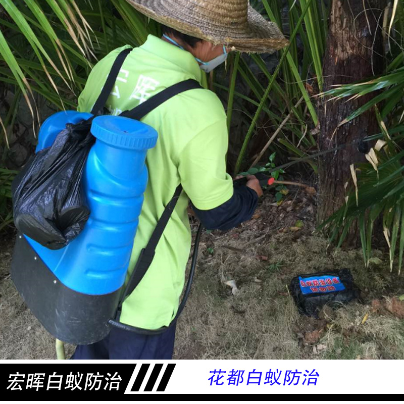 廣州宏暉白蟻防治花都白蟻防治 害蟲白蟻誘殺滅治 白蟻防治工程