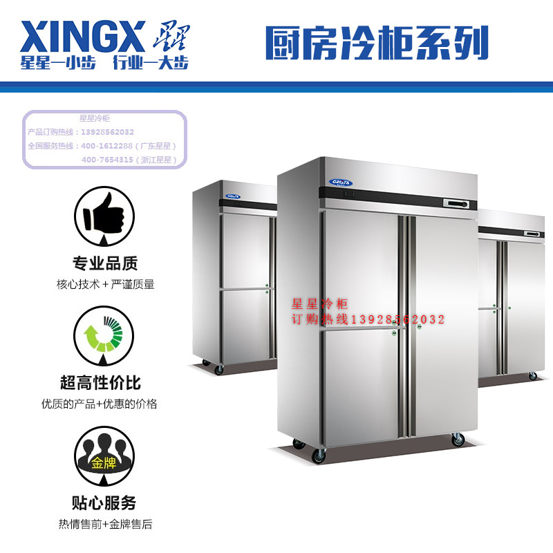 佛山星星冷柜批發(fā)廚房冷柜風冷冷凍柜 全不銹鋼冷柜 風冷式冷柜