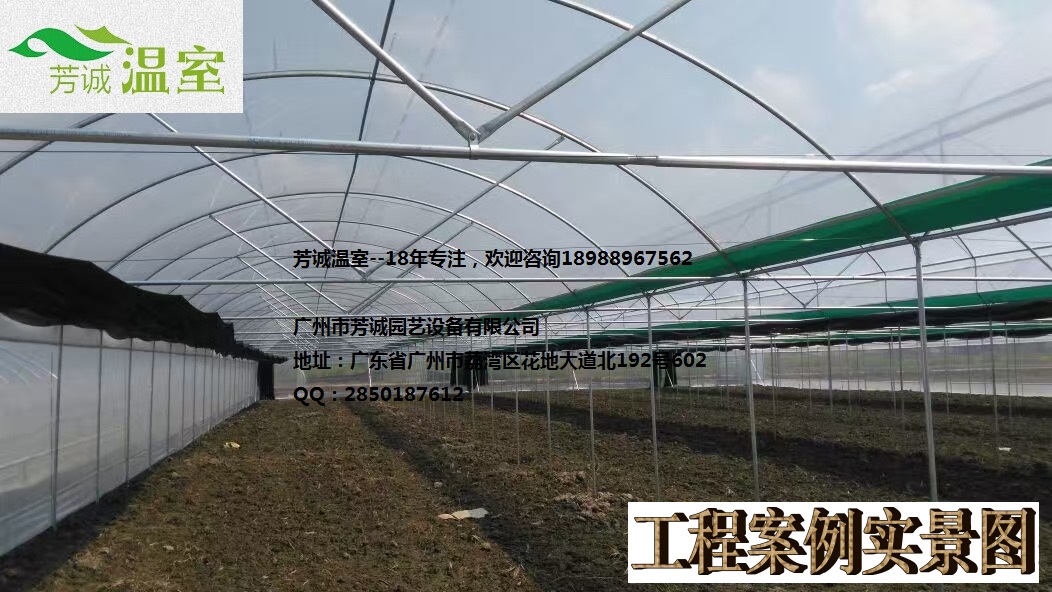 廣東大棚、建設(shè)簡(jiǎn)易大棚、大棚價(jià)格