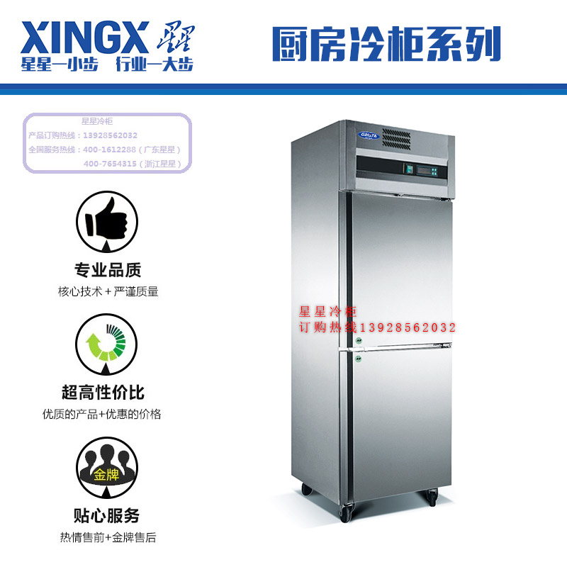佛山星星冷柜批發(fā)廚房冷柜面團(tuán)冷凍柜 風(fēng)冷式多門(mén)冷柜 全不銹鋼冷柜