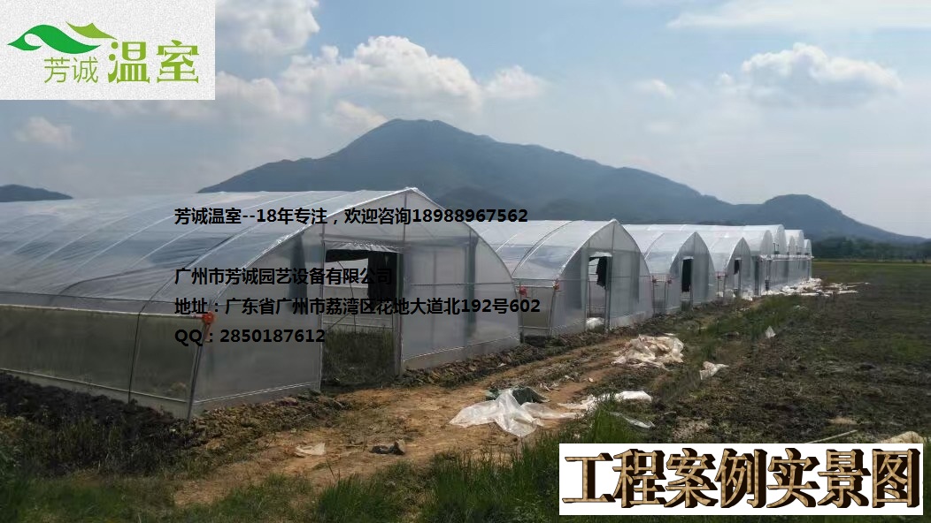 廣東大棚、建設(shè)簡(jiǎn)易大棚、大棚價(jià)格