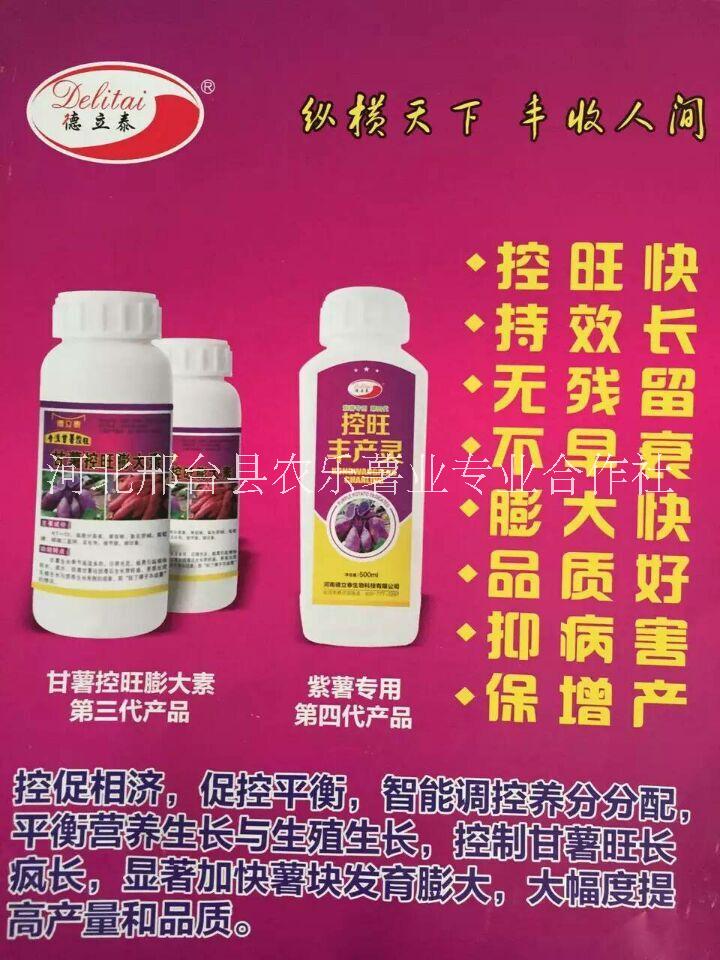 供應甘薯控旺膨大素（紅薯*）紅薯控旺膨大素紅薯*控旺 供應甘薯控旺膨大素 （紅薯*）