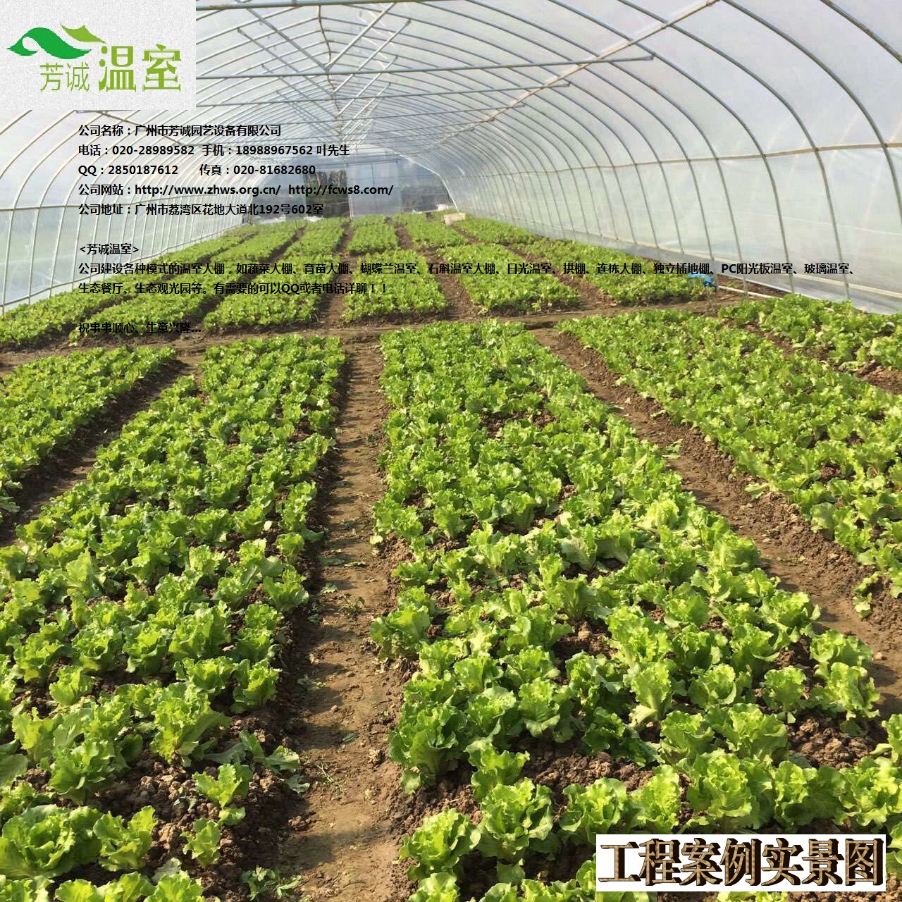 供應(yīng)廣東簡易聯(lián)棟蔬菜大棚/蔬菜大棚/大棚建設(shè)/大棚價格