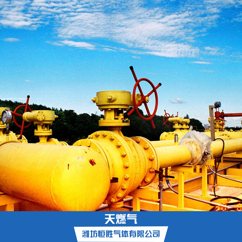 供應(yīng)天燃?xì)?天燃?xì)鈨r(jià)格 天燃?xì)鈴S家 天燃?xì)夤?yīng)商 天燃?xì)庵变N