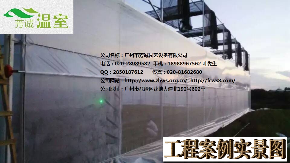 供應(yīng)福建遮陽大棚薄膜大棚 簡易大棚/溫室大棚/蔬菜大棚/育苗大棚