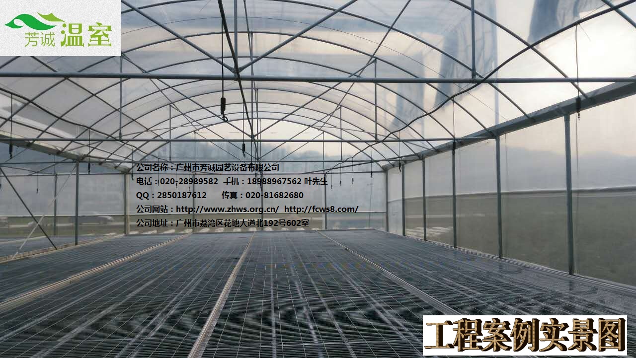 供應(yīng)福建養(yǎng)殖大棚 簡易大棚/溫室大棚/蔬菜大棚/育苗大棚