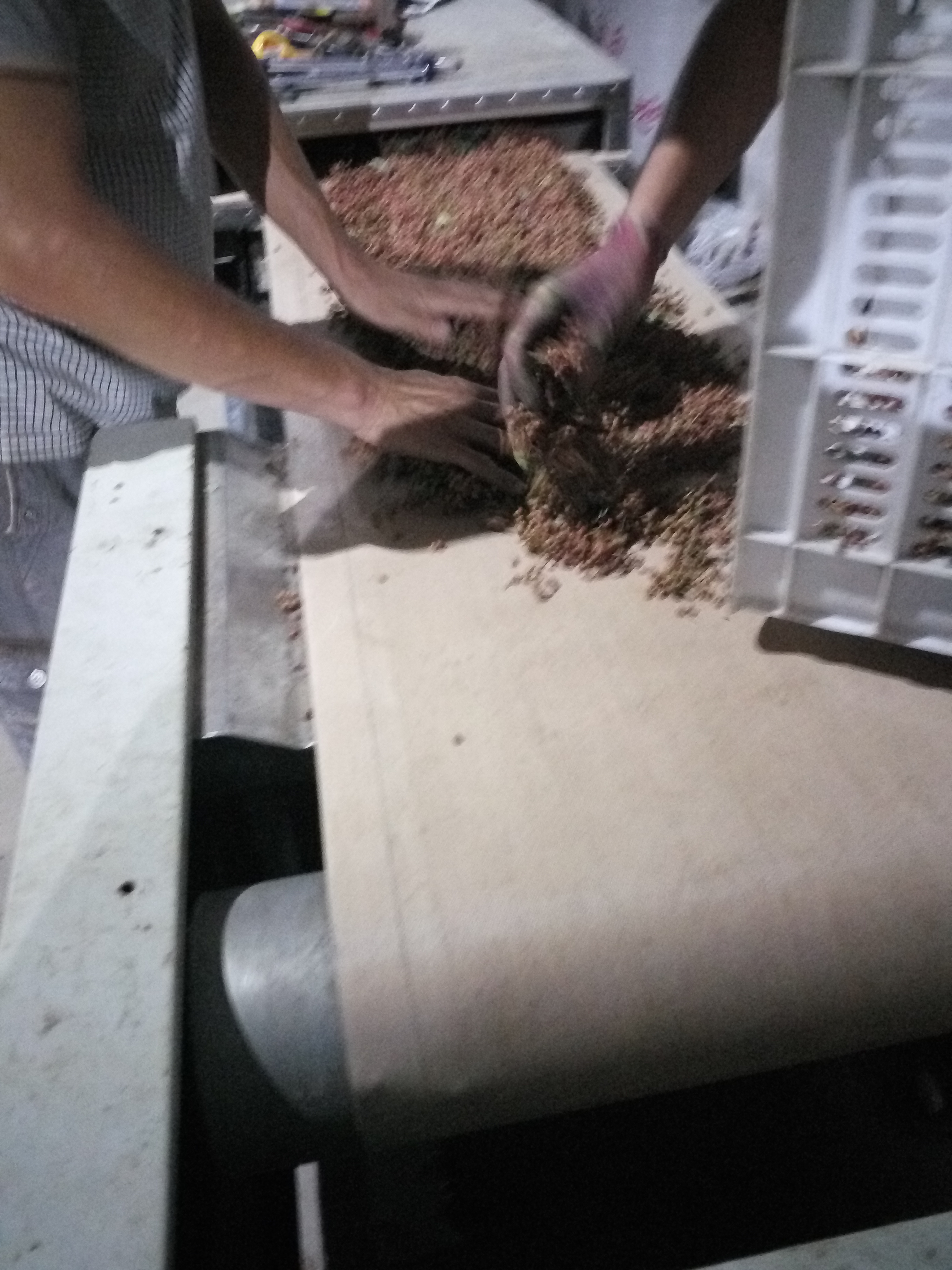 供應(yīng)花椒微波干燥設(shè)備