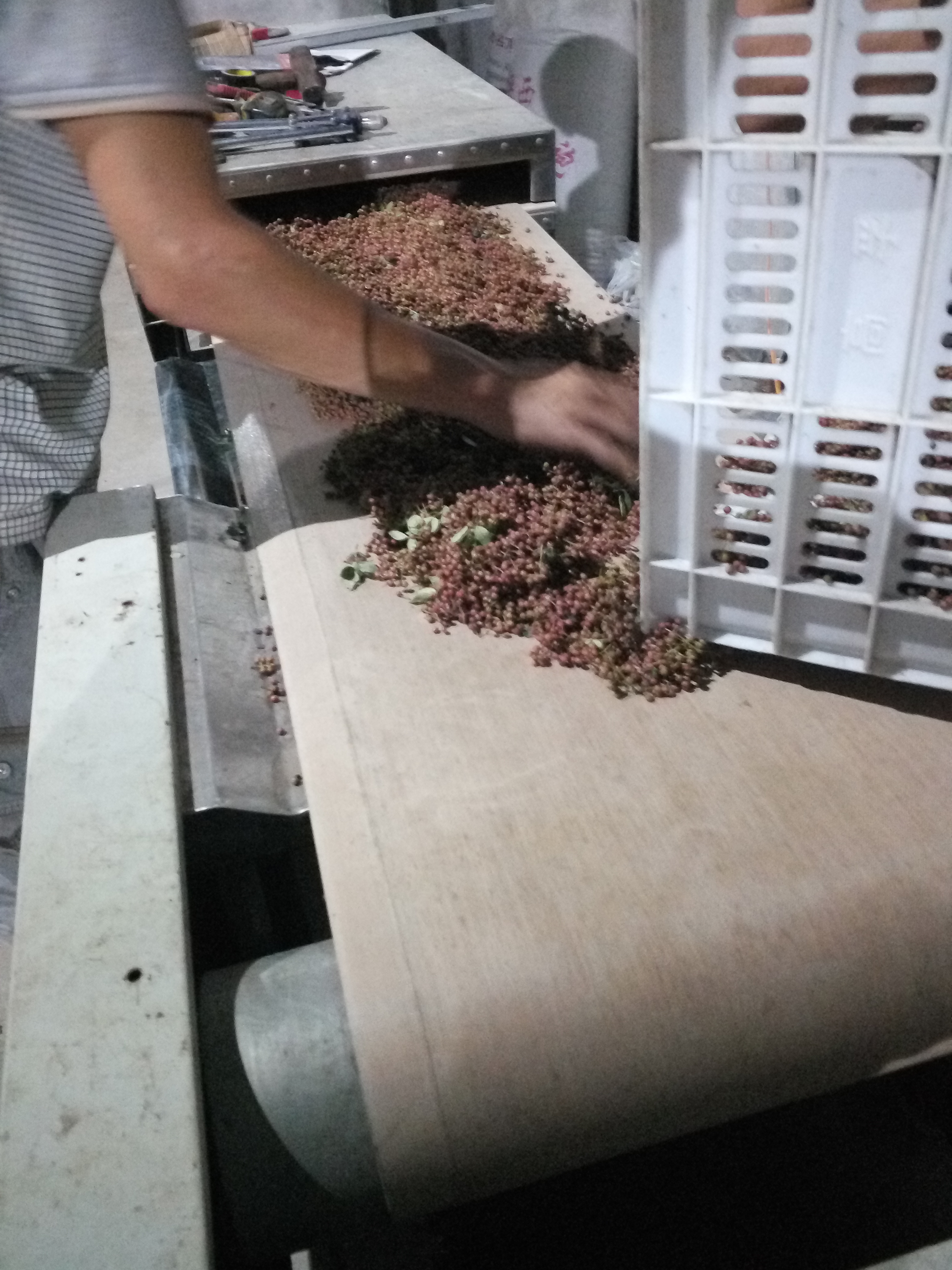 山東花椒微波干燥設(shè)備、山東花椒微波干燥設(shè)備生產(chǎn)廠家