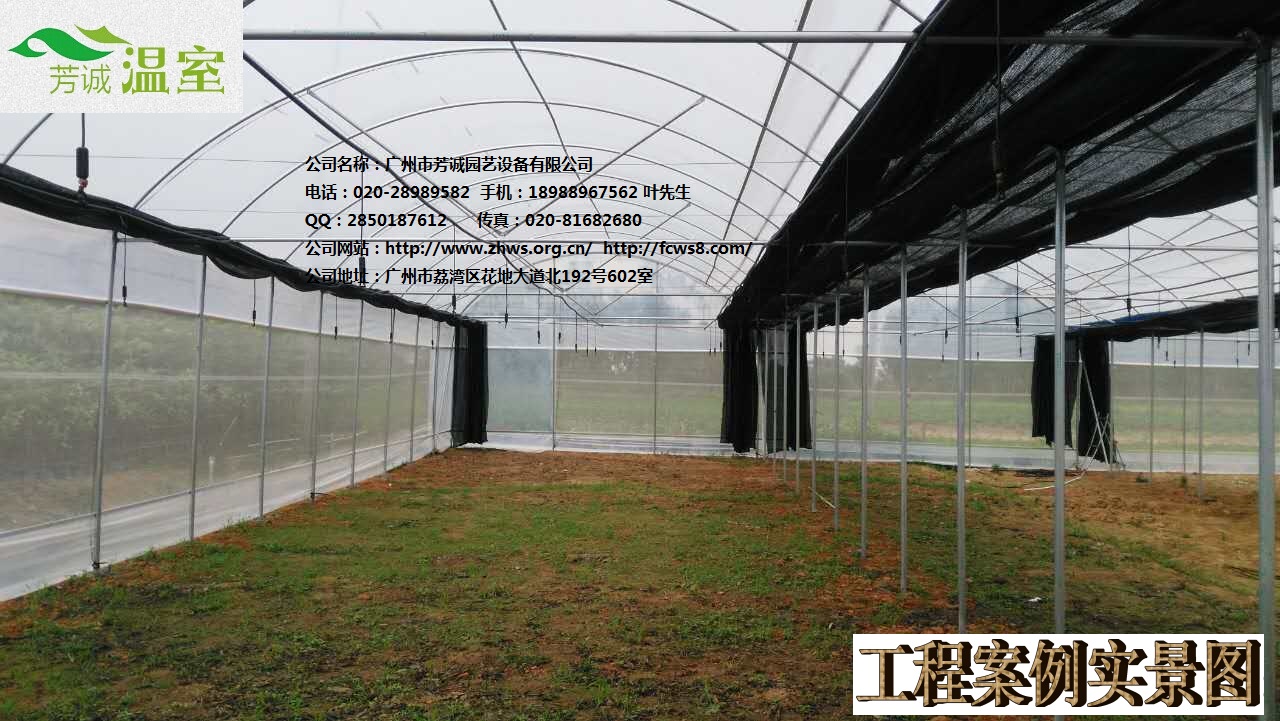 供應(yīng)廣西簡易大棚 簡易大棚/溫室大棚/蔬菜大棚/育苗大棚