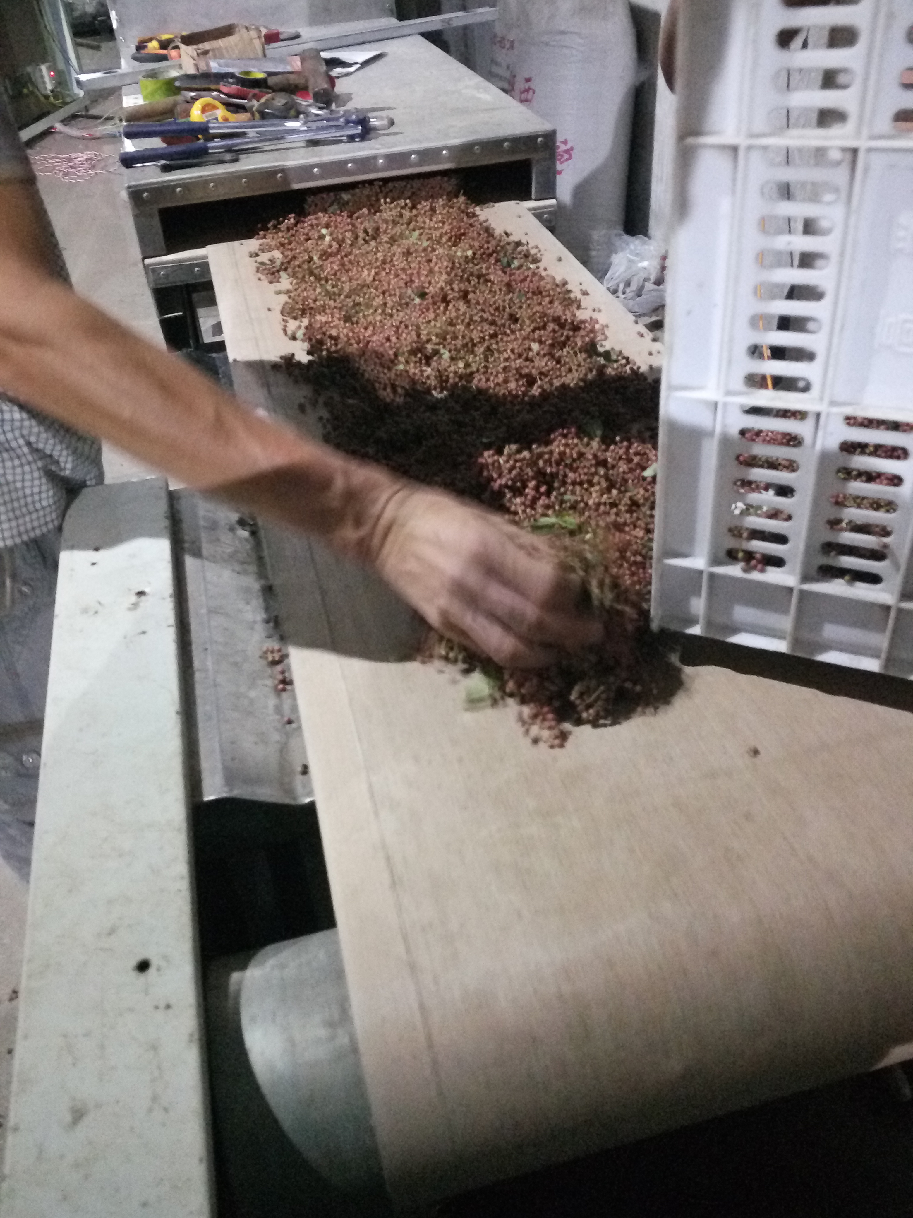 供應(yīng)花椒微波干燥設(shè)備