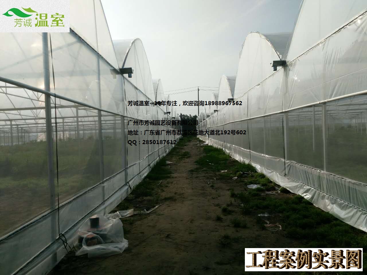 供應(yīng)廣西簡易大棚 簡易大棚/溫室大棚/蔬菜大棚/育苗大棚