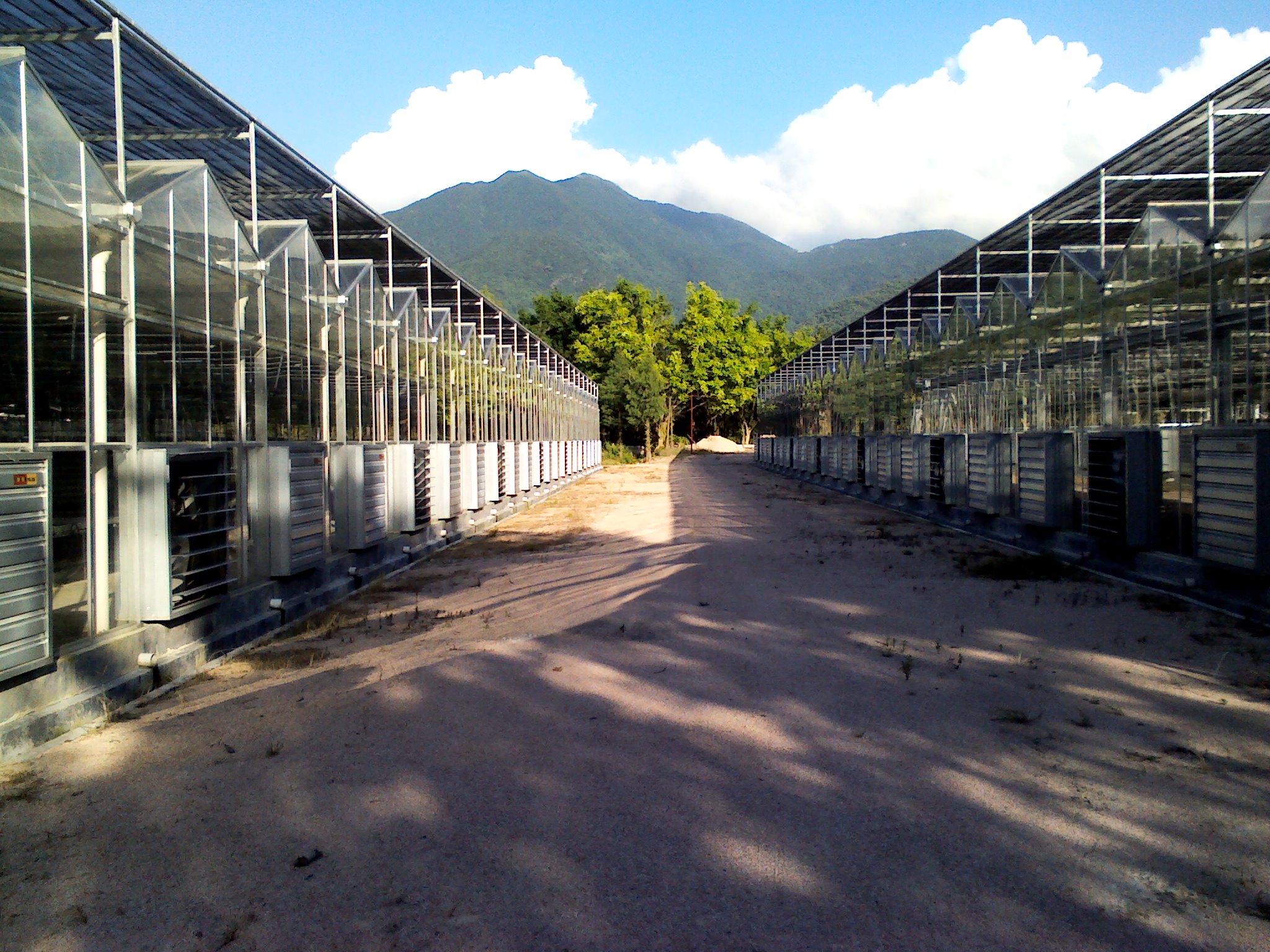 供應(yīng)玻璃溫室、溫室大棚建設(shè)、 廣東玻璃溫室