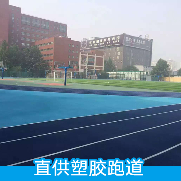 *塑膠跑道 塑膠跑道施工 塑膠跑道建設(shè) 彩色塑膠球場 塑膠跑道鋪裝