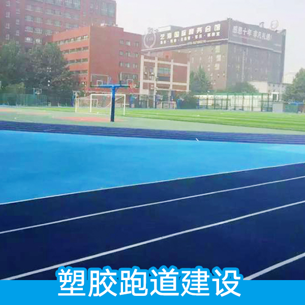 塑膠跑道建設(shè) 塑膠籃球場施工 塑膠籃球場建設(shè) 彩色塑膠球場