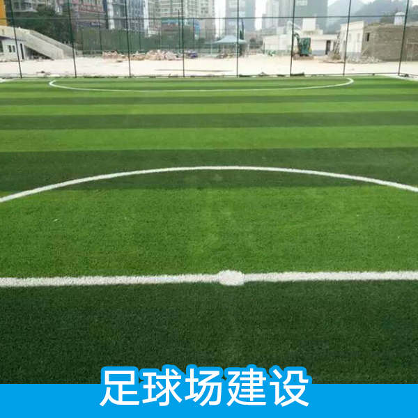 足球場(chǎng)建設(shè) 人造仿真草坪 塑料假草坪 幼兒園人工草皮 學(xué)校運(yùn)動(dòng)場(chǎng)地人造草坪