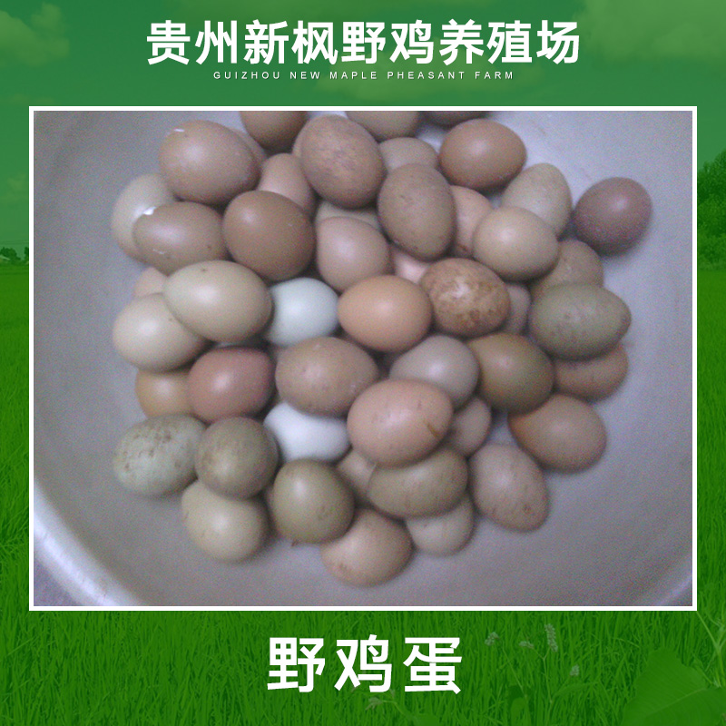 *蛋直銷 貴陽*蛋 散養(yǎng)*蛋 *蛋批發(fā) *蛋價格