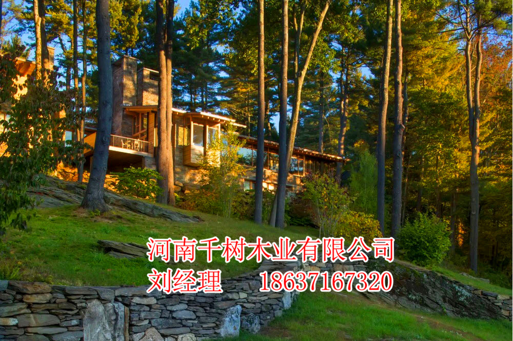 河南千樹(shù)木屋 木屋設(shè)計(jì)施工安裝