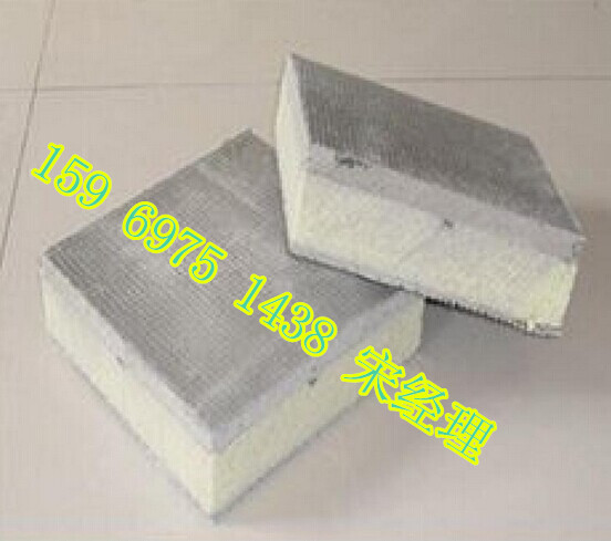 供應(yīng)用于保溫板生產(chǎn)的fs建筑保溫外模板機(jī)械設(shè)備