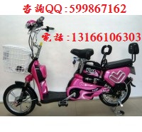 供應愛瑪48VQQ電動車