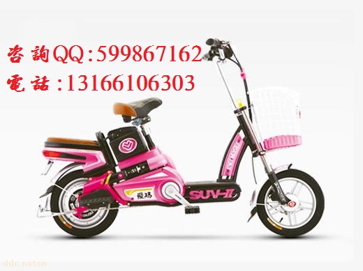 供應愛瑪48VQQ電動車