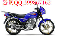 供應鈴木銳爽EN125－2E 摩托車  Suzuki