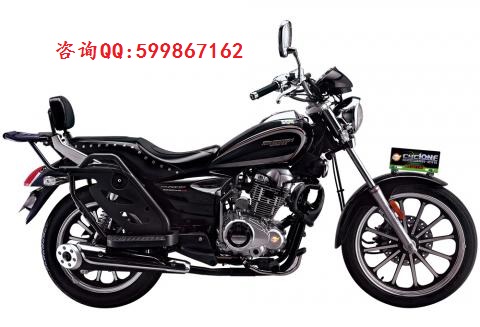 供應(yīng)宗申天翼摩托車 大力王