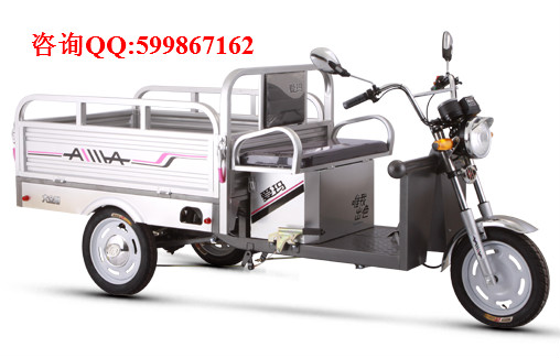 供應愛瑪天使電動車