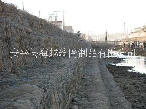 供應(yīng)涂塑鋼絲網(wǎng)