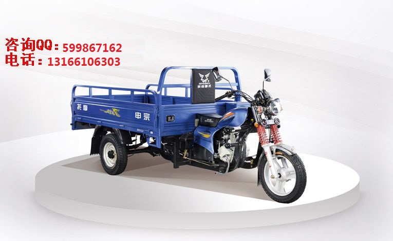 供應(yīng)宗申Q1太子175-2 三輪摩托車 價格