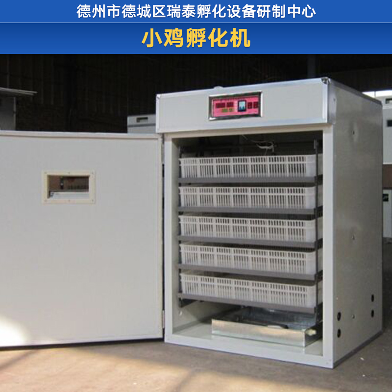 小雞孵化機廠家報價 小雞孵化機 自動小雞孵化機 太陽能孵化器 雞孵化機