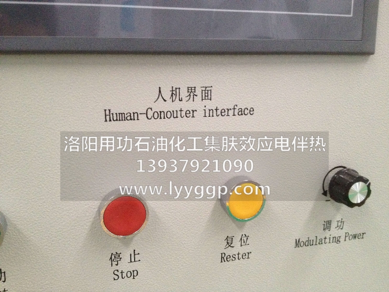 供應(yīng)石油化工集膚效應(yīng)電伴熱 輸送液電伴 進口伴熱電纜