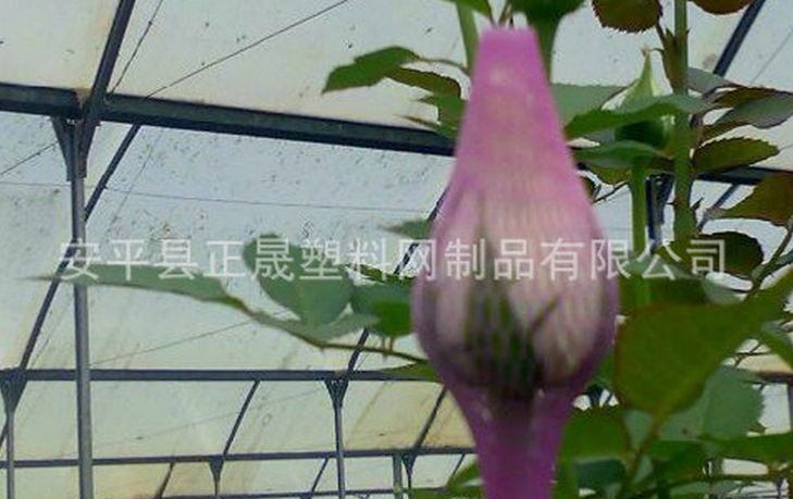 供應(yīng)用于包裝網(wǎng)的廠家批發(fā)玫瑰花包花網(wǎng)套 月季花網(wǎng)