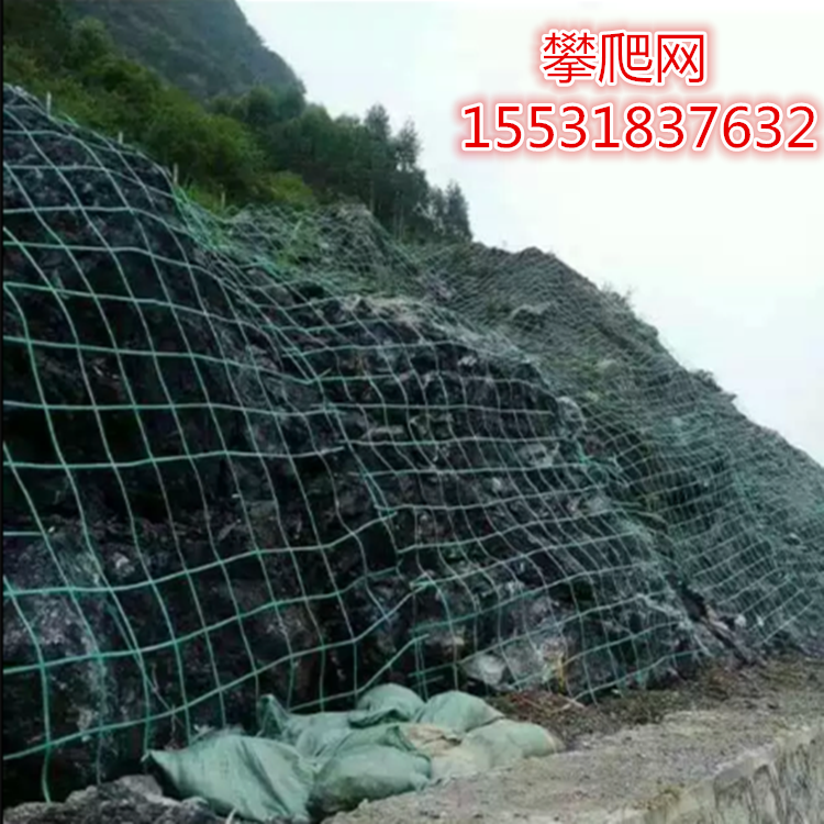 帶2根鋼絲植物攀爬網(wǎng) 邊坡綠化植物攀爬網(wǎng) 攀爬網(wǎng)生產(chǎn)規(guī)模 攀爬網(wǎng)價格