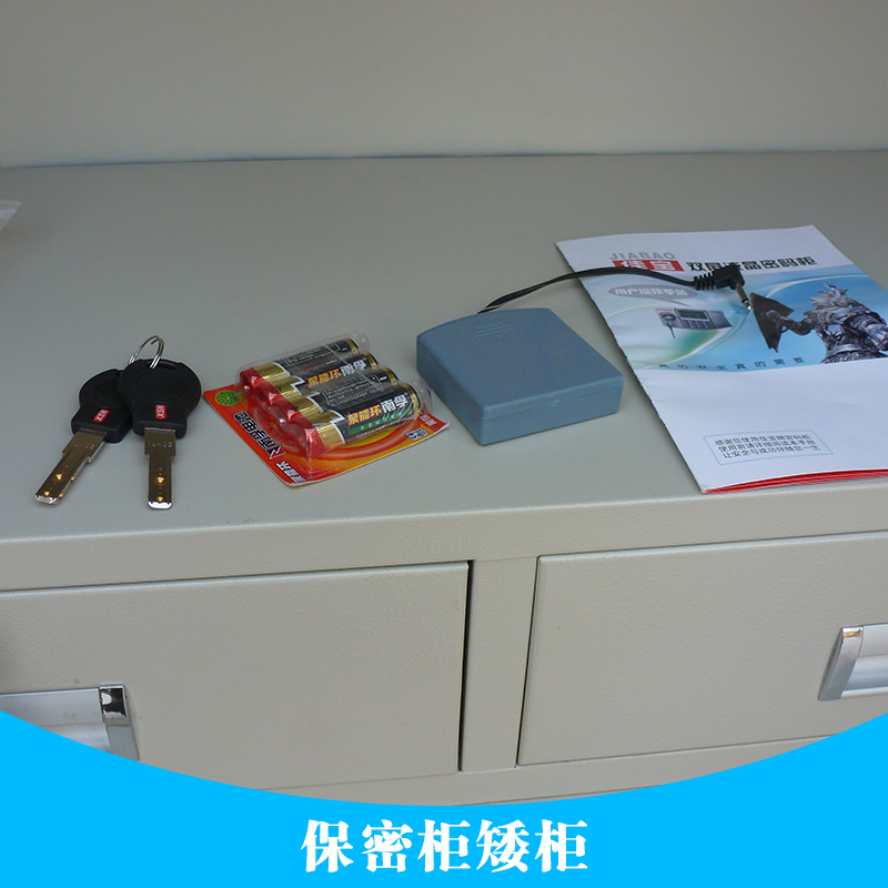武漢保密柜矮柜 武漢小型保密柜 武漢智能保密柜 武漢落地矮柜