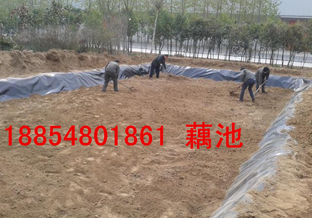鄭州連藕池防滲膜18854801861魚(yú)塘防滲水膜