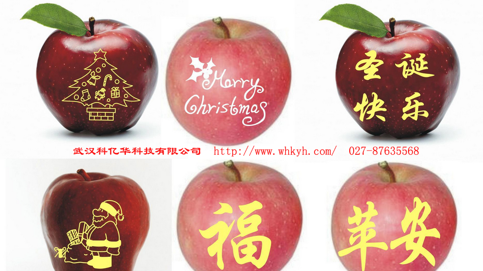 陜西蘋果印字油墨 可食性油墨 凹印油墨不用貼紙