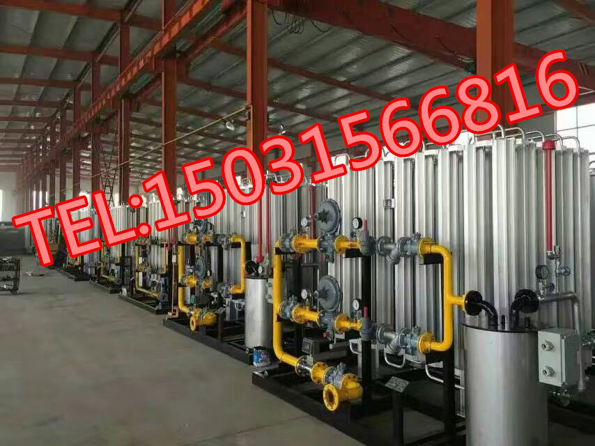 LNG雙路二級調(diào)壓氣化撬