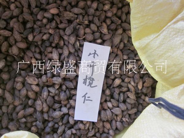 供應(yīng)小葉欖仁小苗及種子