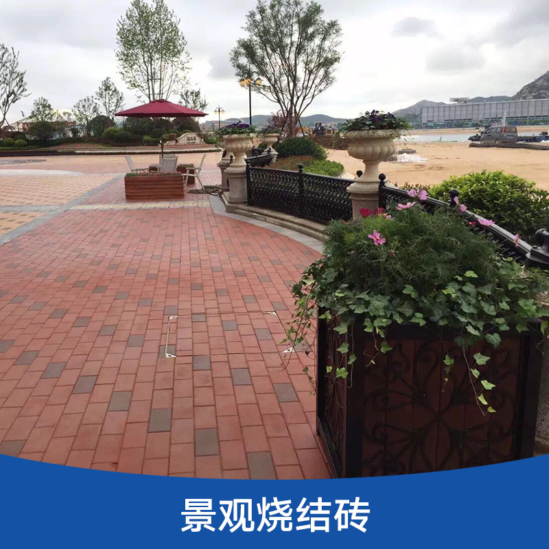 景觀燒結(jié)磚 彩色燒結(jié)磚 園林景觀磚 飾面鋪裝燒結(jié)磚 廣場(chǎng)燒結(jié)磚