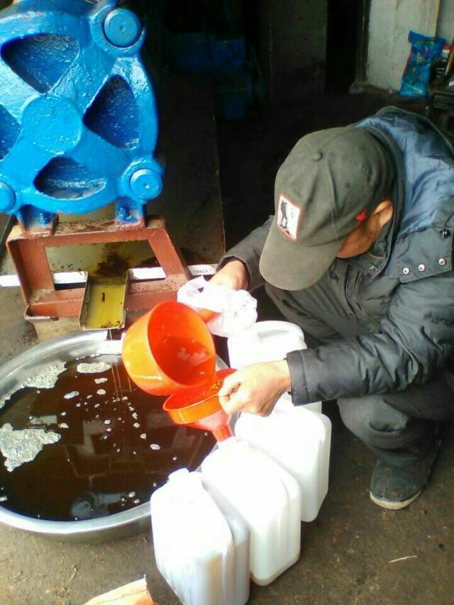 山茶油 壓榨茶油 湖南山茶油報(bào)價(jià) 湖南山茶油銷售