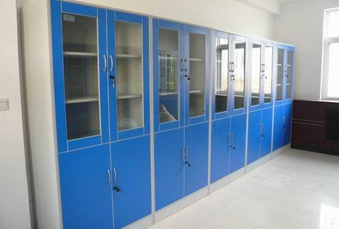 實(shí)驗(yàn)室試劑柜凈化室藥品柜實(shí)驗(yàn)臺(tái) 海南實(shí)驗(yàn)室儋州實(shí)驗(yàn)室 料 海南實(shí)驗(yàn)室試劑柜藥品柜實(shí)驗(yàn)臺(tái)