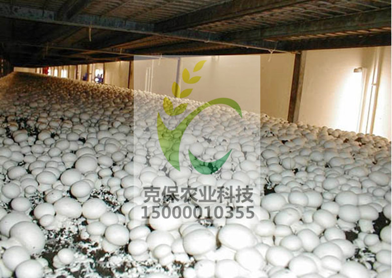 *黑白遮陽膜價格 黑白膜 農(nóng)用大棚膜 價格，上海哪里的黑白遮陽膜比較好