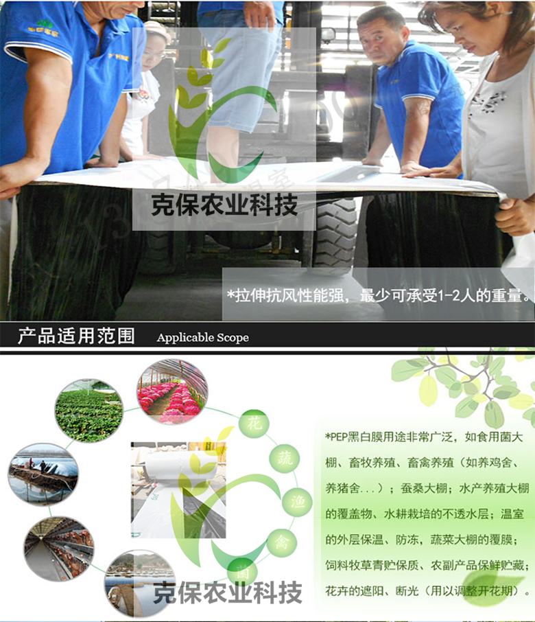 養(yǎng)殖大棚膜 養(yǎng)殖*膜 黑白膜 棚膜，養(yǎng)殖大棚膜價(jià)格，養(yǎng)殖大棚膜生產(chǎn)廠家