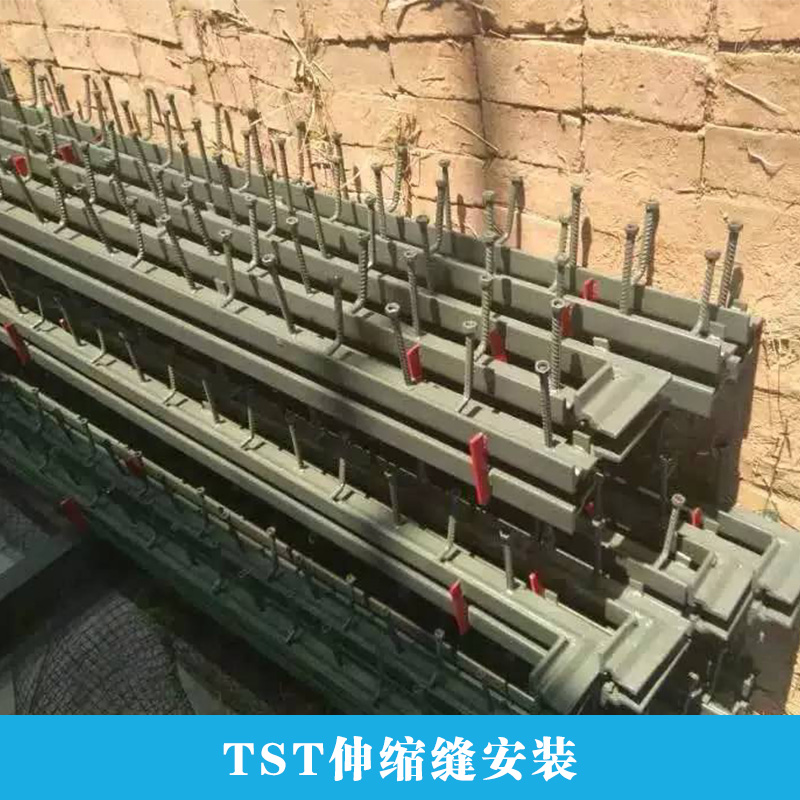 TST伸縮縫安裝 TST伸縮縫 伸縮縫安裝 伸縮縫安裝價格